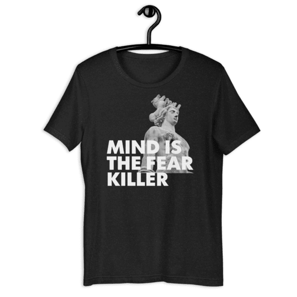 Mind Is The Fear Killer